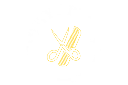 Aunty P Braids logo